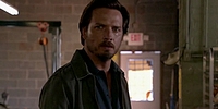 Rectify 4.01