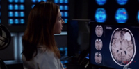 Grey's Anatomy 14.03