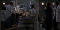 Grey's Anatomy 14.23