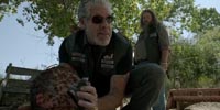 Sons of Anarchy 4.03