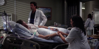 Grey's Anatomy 9.01