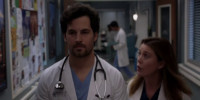 Grey's Anatomy 16.14