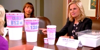 Parks and Recreation 5.02