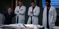 Grey's Anatomy 19.04