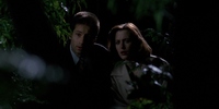 The X-Files 2.20