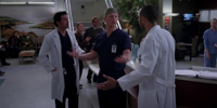 Grey's Anatomy 9.17