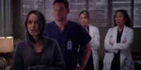 Grey's Anatomy 9.23