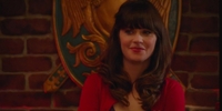 New Girl 3.11