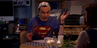 The Big Bang Theory 8.13