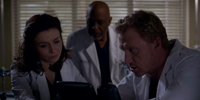 Grey's Anatomy 11.15