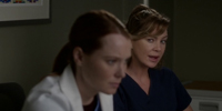 Grey's Anatomy 12.06