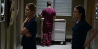 Grey's Anatomy 12.08