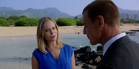 Hawaii Five-0 (2010) 6.17