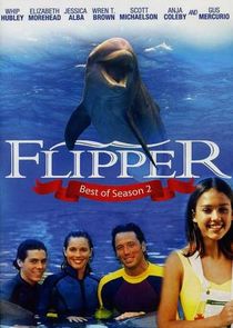 The New Adventures of Flipper