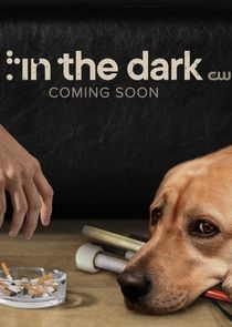 In the Dark (US)
