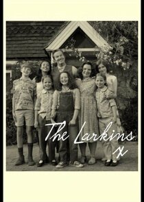 The Larkins (2021)