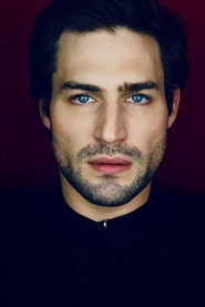 Vinicius Timmerman 