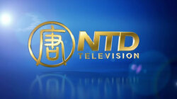 NTD Television