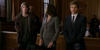 The Good Wife 1.03