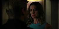 Iron Fist 1.09