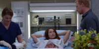 Grey's Anatomy 14.01