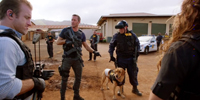 Hawaii Five-0 (2010) 8.02