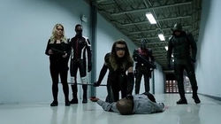 Arrow 6.04