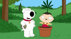 Family Guy 7.12