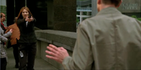 Fringe 3.03