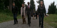 Fringe 3.06