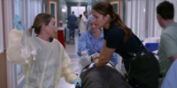 Grey's Anatomy 14.13