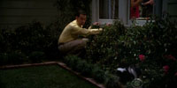 Two and a Half Men 8.13