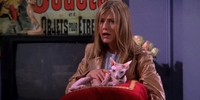 Friends (1994) 5.21