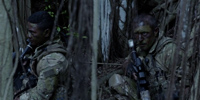 Hawaii Five-0 (2010) 8.24