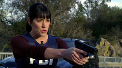 Criminal Minds 6.15