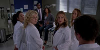 Grey's Anatomy 7.14