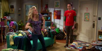 The Big Bang Theory 4.14