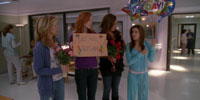 Desperate Housewives 7.17