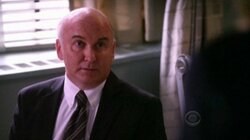 The Good Wife 2.21