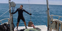 Hawaii Five-0 (2010) 9.04