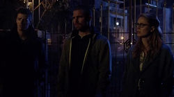 Arrow 7.09