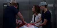 Grey's Anatomy 15.09