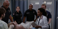Grey's Anatomy 15.23