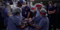 Grey's Anatomy 8.11