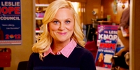 Parks and Recreation 4.17