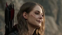 Arrow 8.03