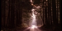 Twin Peaks 2.10