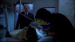 Alias 2.07