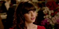 New Girl 2.03