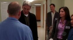 NCIS 2.19